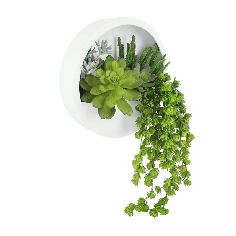 Pot à fleurs mural Danita avec Sedum et Echeveria, Blanc