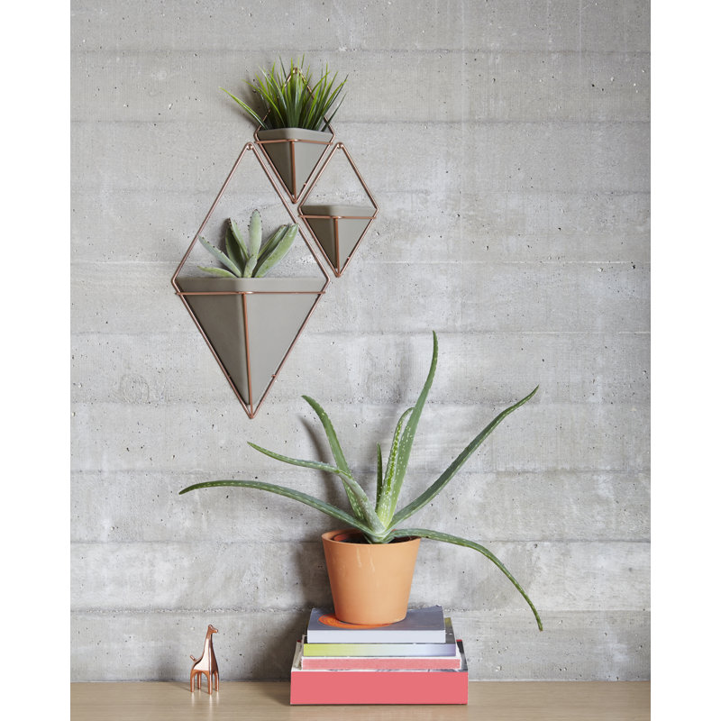Umbra Trigg Wall Display, 7.24" H x 4.5" W x 2.8" D, Concrete/Copper