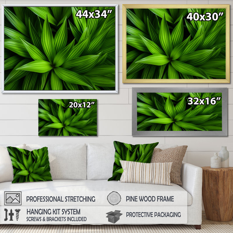 Greenerys Gaze sur impression sur toile, Cadre flottant naturel, H 34 po x l 44 po x P 1,5 po