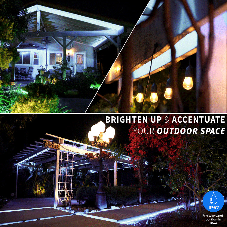 The Holiday Aisle® 100ft 8-Mode Waterproof LED Rope Light
