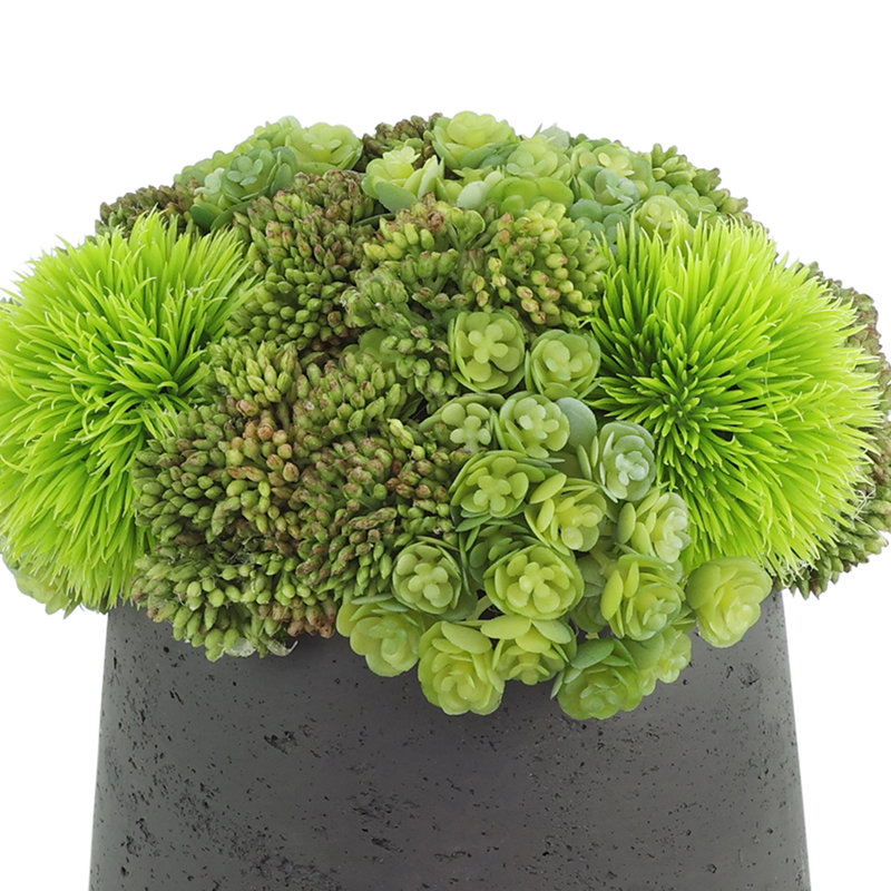 Rizal Faux Succulent in Fiberstone Pot, Black