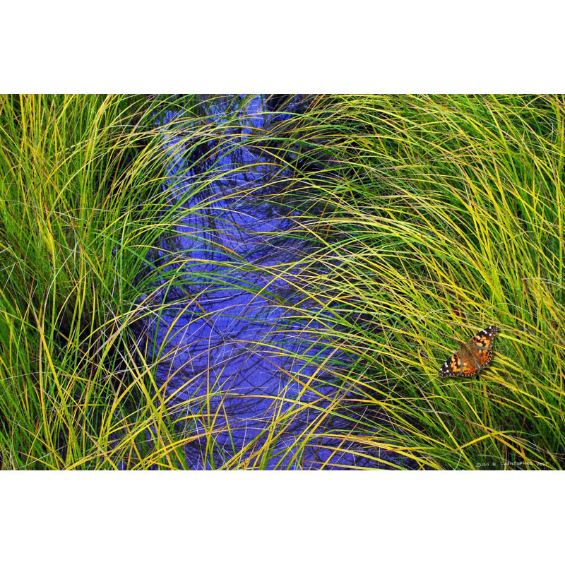 Chris Vest - Wrapped Canvas Print, 30cm H x 45cm W x 3.81cm D