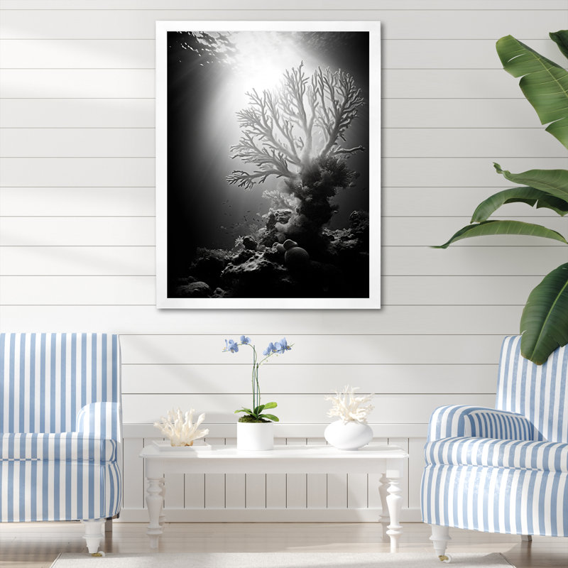 «Black and White Coral Plant III - Beach & Ocean», reproduction d'art sur toile, H 32 po x l 24 po x P 1 po