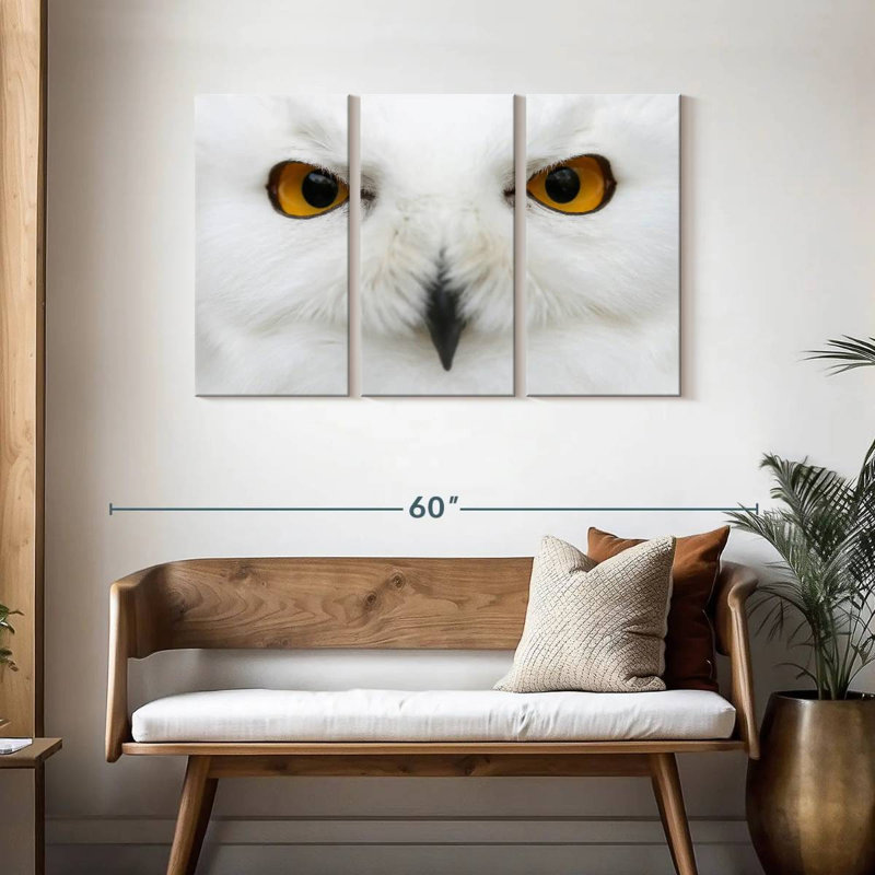 Yeux de chouette des neiges, H 28 po x l 45 po
