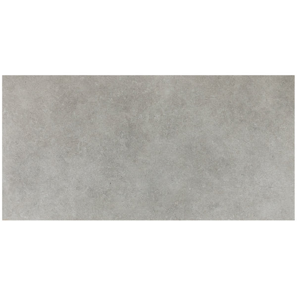 Haut Monde 24" x 48" Porcelain Concrete Look Floor Use Tile