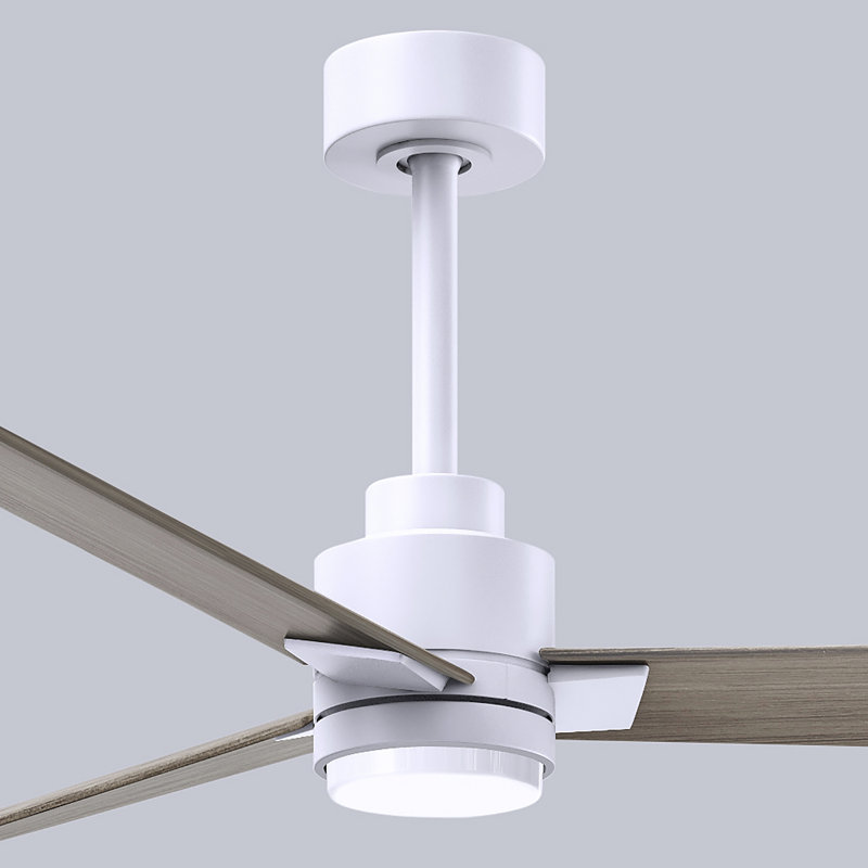 Ventilateur de plafond Alessandra, Ton bois de frêne gris, Blanc mat, 56"