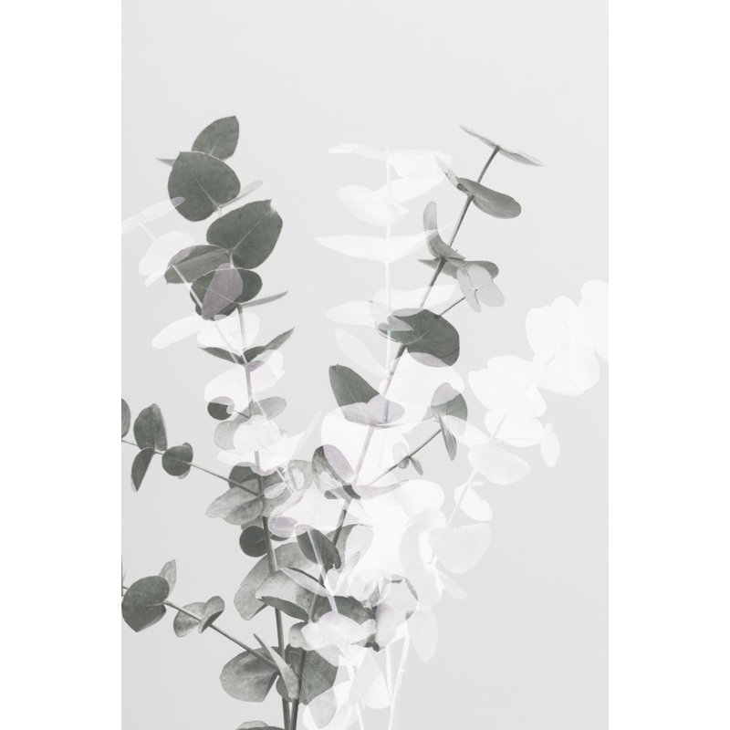 Wrapped Canvas Print, 76.2 cm H x 50.8 cm W