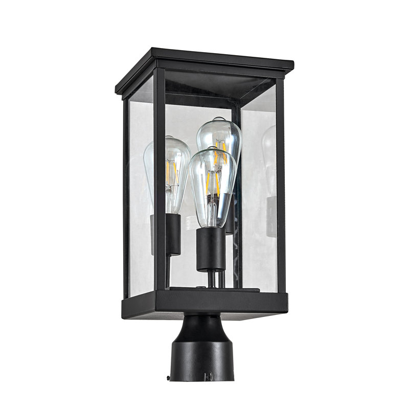 Lantern Head