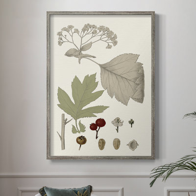 Feuilles et baies II, reproduction encadrée - bois massif