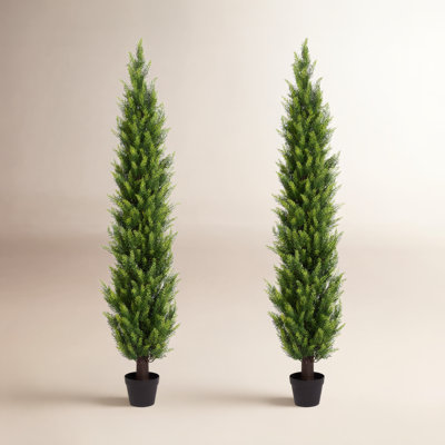 72" Cedar Topiary in Pot