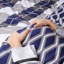 Soft Microfiber Printed Duvet Cover Set with Pillowcases-118215221-118215231