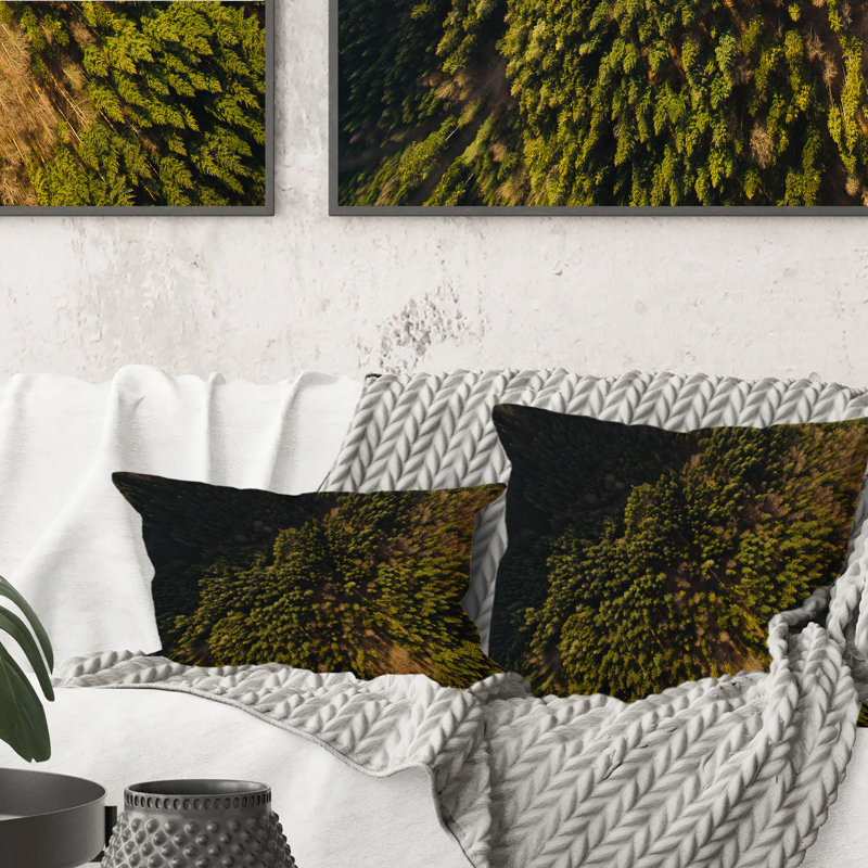 Arial View Of Green Woods - Coussin décoratif imprimé Lake House