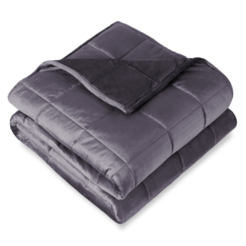 Couverture pondérée Minky, l 40 po x L 60 po, 10 lb, Aubergine