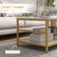 Ensemble de 2 tables basses élégantes en faux marbre et en acier avec 2 tablettes de rangement pour les salons modernes