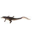 Crocodile de marche Boylon