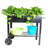 Metal Garden Carts