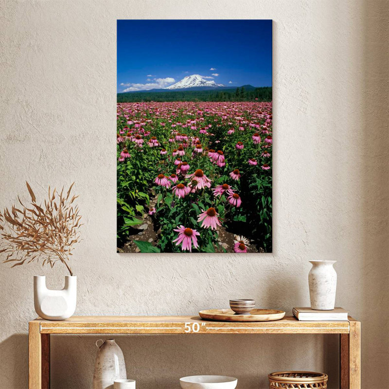 Harnek Echinacea Field, 30" H x 20" W
