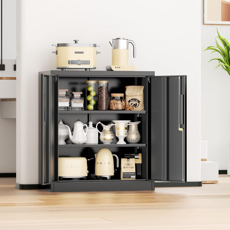 Iaconetti 32'' Wide 2 - Shelf Storage Cabinet, Black