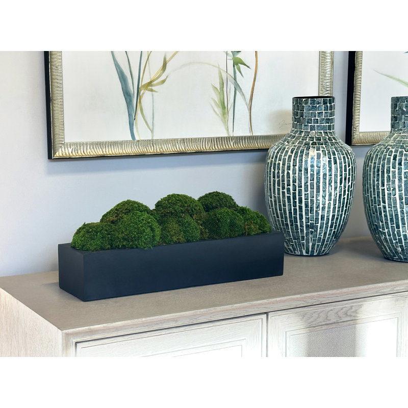 Nature's Nostalgia Preserved Moss in Fiberstone Planter, 8'' H x 19'' W x 8'' D, Black