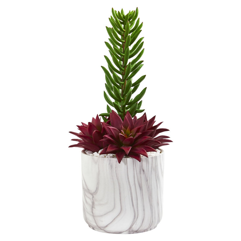 Succulent de la plante de cactus artificielle dans un vase décoratif