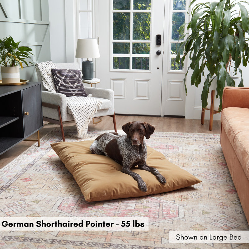 Lit pour chien en velours côtelé Gladmir, Buff, H 4 po x l 48 po x P 36 po