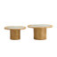 Ensemble de 2 tables basses en bois-1731368101