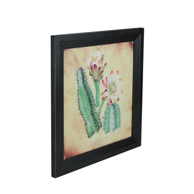 12" Black and Green Cactus and other Desert Plants Surrounded by Black Photo Frame