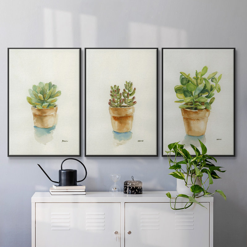 Succulent I, encadré sur toile, 3 pièces, H 27 po x l 54 po x P 2 po, Noir