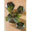 Pot à fleurs en métal galvanisé à capuchon-2093716831