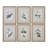 Floral Botanical Study - 6 Piece Single Picture Frame Print