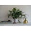 Sip Planter-1509940494
