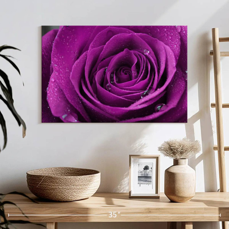 Gouttelettes Harnek sur rose mauve, H 30 po x l 45 po