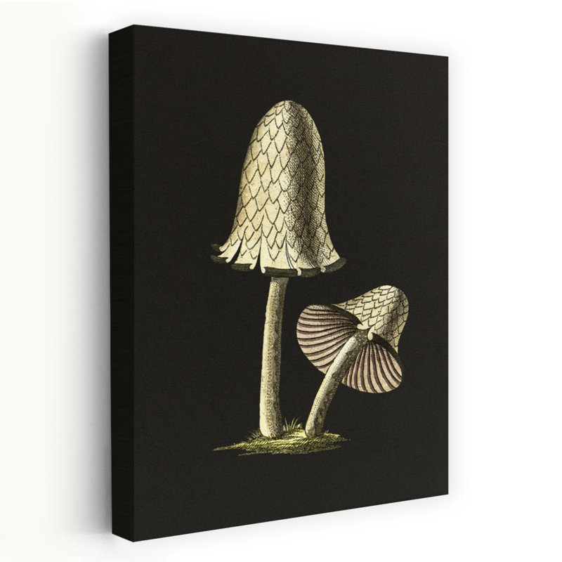Affiche murale rétro vintage représentant un champignon comestible à chapeau d'encre sur fond noir., H 48 po x l 32 po