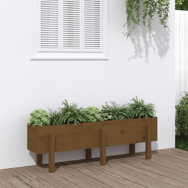 Meenakshi Wood Raised Garden Bed, Pine, 57cm H x 62cm W x 50cm D, Honey Brown