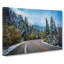 Winter Forest Road - Wrapped Canvas-55305219