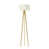 Ivory/White Inside