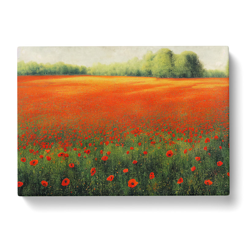 Creative Poppy Field Flowers - Wrapped Canvas, 50cm H x 76cm W x 3cm D