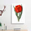 Red Tulip - Wrapped Canvas Painting-55330402