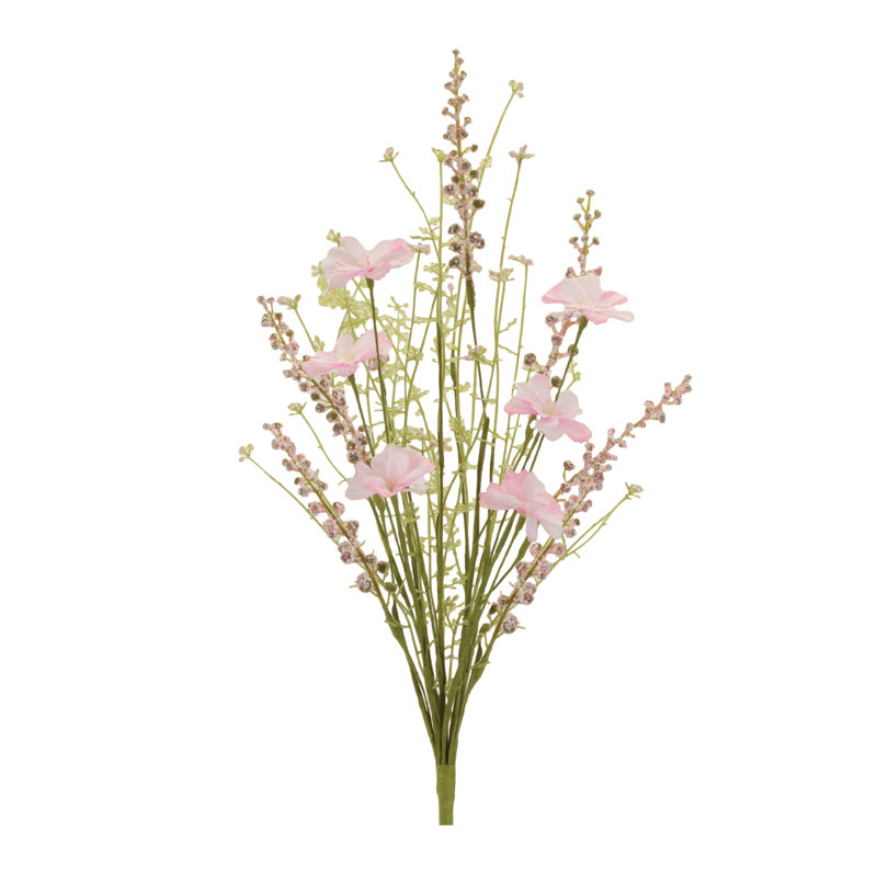 Mélange de buissons floraux Cosmos