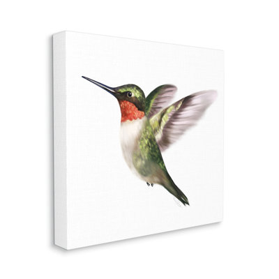 " Flying Hummingbird Wings Hovering " by Studio Q