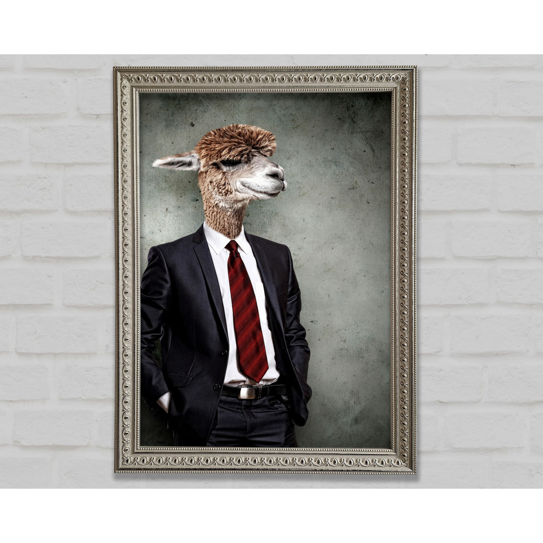 Business Llama Gerahmter Druck