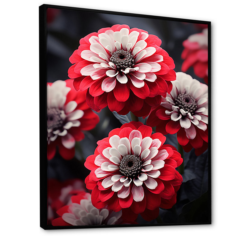 " Red Grey Zinnias Zestful II ", 20" H x 12" W x 1" D, Black Floater Framed