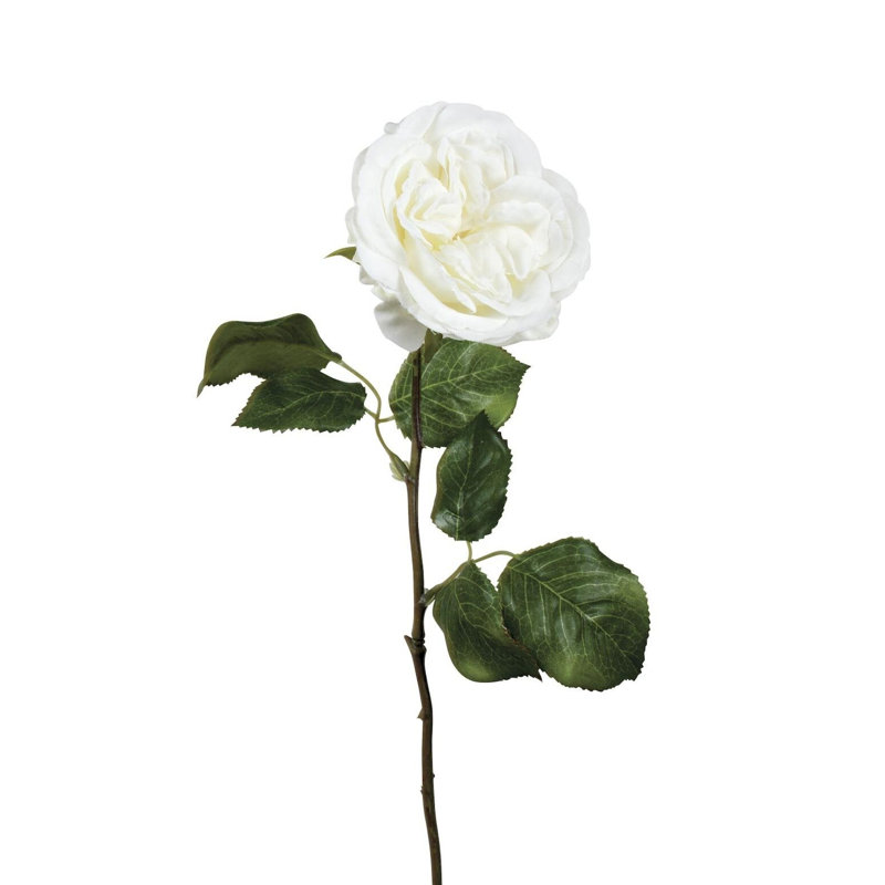 Rose Arrangement, White