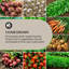 Mammutgrow Raised Garden Bed-42115017