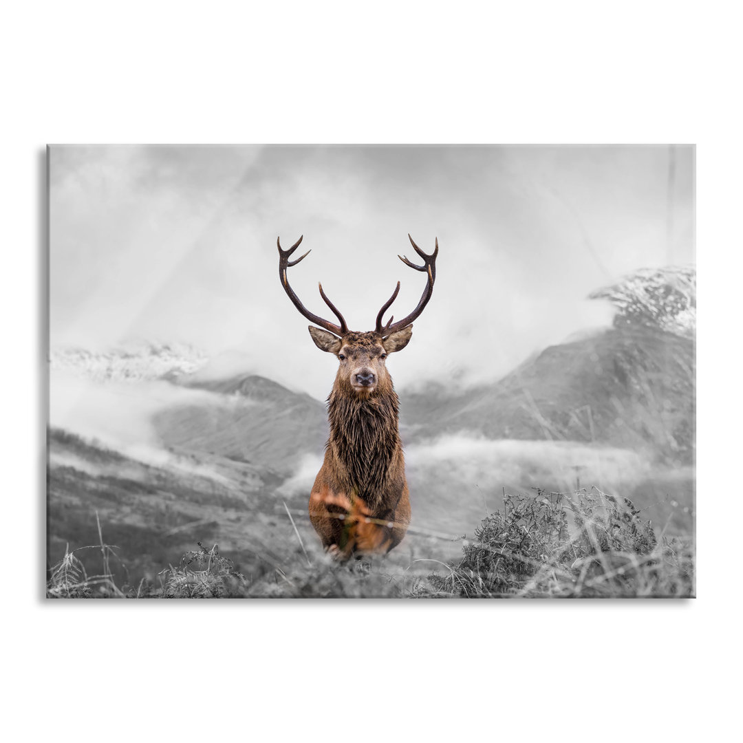 Glasbild Majestätischer Hirsch in Berglandschaft