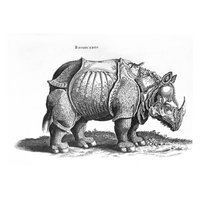 «Rhinoceros no 76» par «historique animal» par Conrad Gesner (1516-65) par Albrecht Dürer - estampe numérique