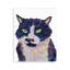 «Tuxedo Cat», peinture murale par Tatiana Roberts