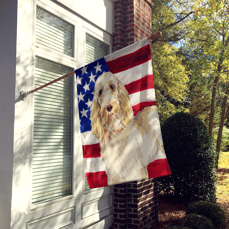 Drapeau de maison en polyester à 2 côtés Shahnur, Spinone