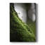 Espoir de Hope Springs - galerie Cavas sur mesure-1804197493