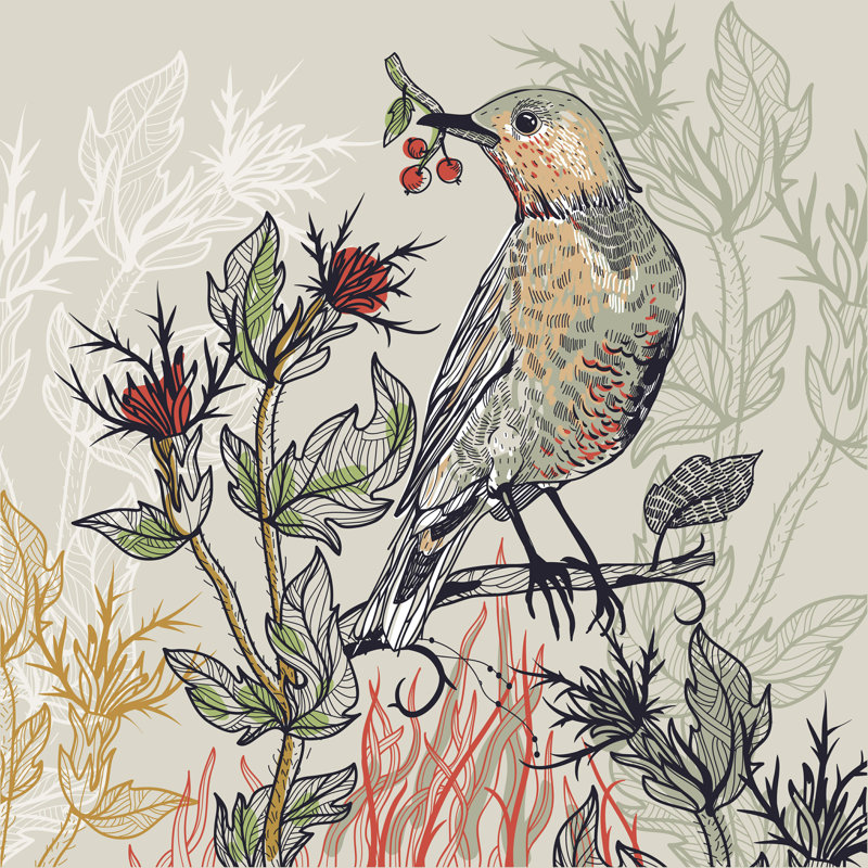 «Forest Bird and Thistle» par Annapaff, impression sur toile tendue, L 20 po x H 20 po